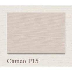 Painting The Past Eggshell 750 Ml - P15 Cameo 7 Painting The Past Eggshell 750 Ml - P15 Cameo -verfwinkel Winkel Cameo P15 1