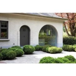 Sigma S2U Satin -verfwinkel Winkel sigma s2u satin vw sg1046 3 1